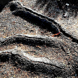 Un matin ensoleillé, musardise le long du ruisseau malbene, rétrospection de ce voyage