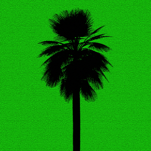 Kontrollieren (Original Mix)