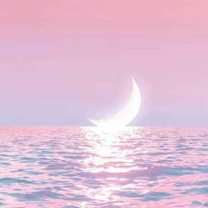 粉色陷阱（Prod by 房间里的大象）