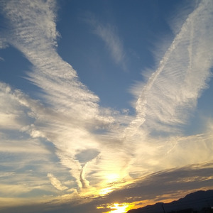 透明になった君へ (feat. 雪希)