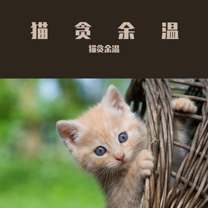 猫贪余温