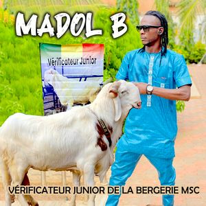 Vérificateur Junior De La Bergerie MSC