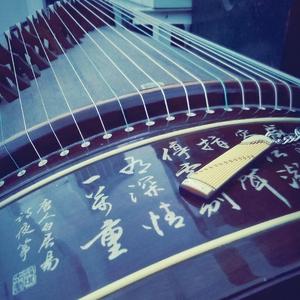 【古筝】葬花吟——红楼梦主题曲（翻自 陈力）