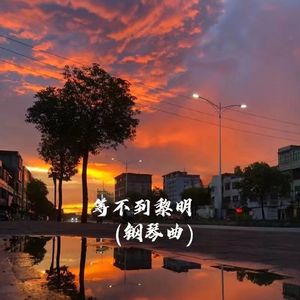 等不到黎明(钢琴曲)