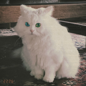 Greeting (Feat. myunDo)