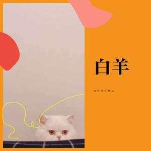 白羊｜钢琴