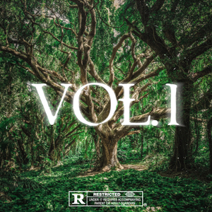 Real Connections Vol. 1