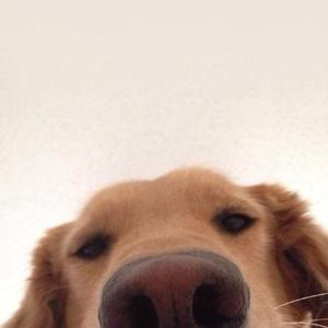 年轮_20220404_172530