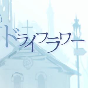 ドライフラワー/干花