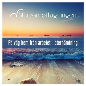 Återhämtning och observation på väg hem, del 4