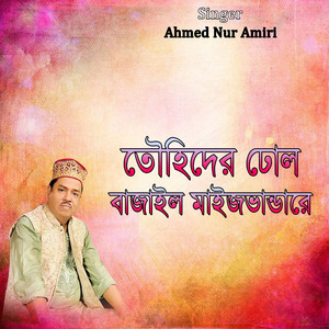 তৌহিদের ঢোল বাজাইল মাইজভান্ডারে