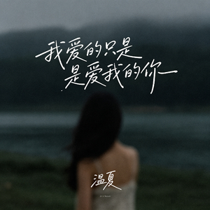 我爱的只是爱我的你