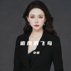 追风的飞鸟
