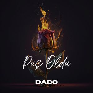 Puç Oldu