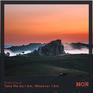 Take Me As I Am, Whoever I Am