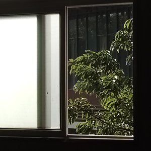 二十页自白书