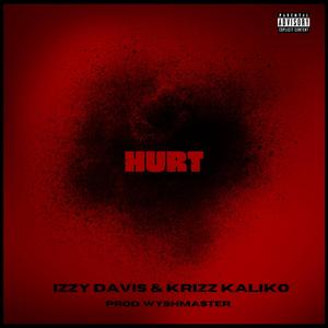 Hurt (feat. Krizz Kaliko)
