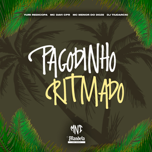Pagodinho Ritmado