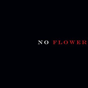 no flower