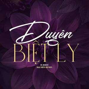 Duyên Biệt Ly (Đại Mèo Remix)