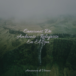 Armonía del Sueño Salvaje del Desierto