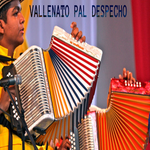 VALLENATOS