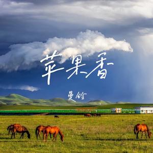 苹果香 (DJ彭锐版)