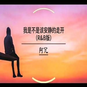 我是不是该安静的走开 R&B版new