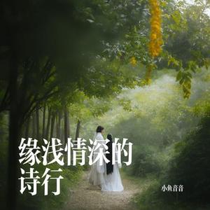 缘浅情深的诗行
