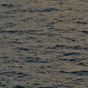 너는 깊은 바다야