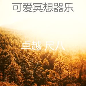 精彩回春环境