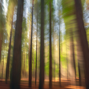 カフェの朝を彩るピアノBGM