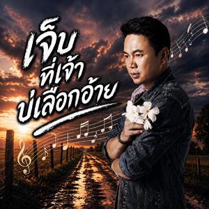 เจ็บที่เจ้าบ่เลือกอ้าย, ฮู้ทั้งฮู้ยังยอม, คนสำรองของใจเจ้า, แกล้งบ่ฮู้, ความหวังของคนโง่