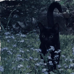 (FREE)"夏天就要过去了吗" | chill x lofi x guitar type beat