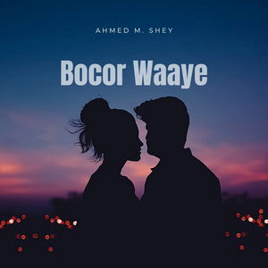 Bocor Waaye