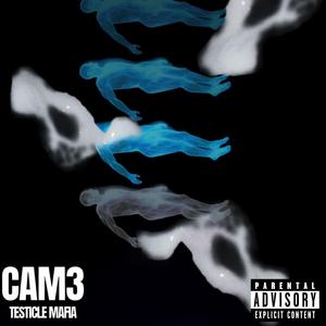 CAM3