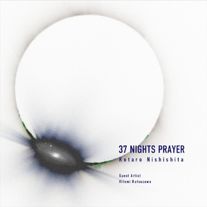 Foreshore in the Twilight