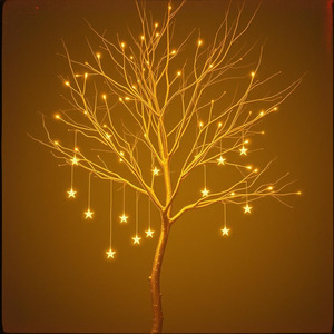 Celestial Canopy(1Hour)