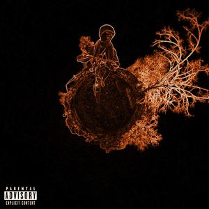 Newtons Love (feat. Ligemeget)