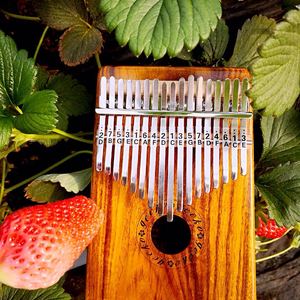 《问情》卡林巴弹唱（Cover 蔡幸娟）