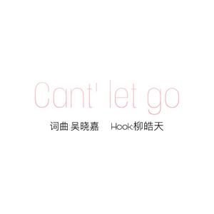 放不下Can't let go