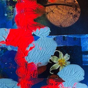 Spiderweb (Special Version)