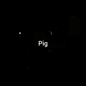 Pig