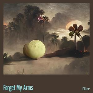 Forget My Arms