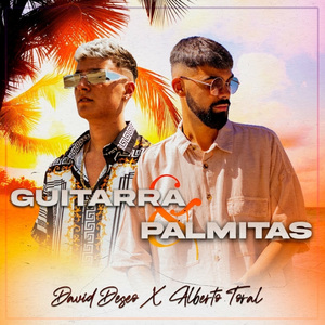 Guitarra y Palmitas