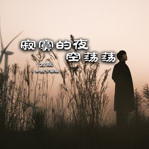 寂寞的夜空荡荡 (卡点节奏版)