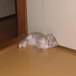 home2