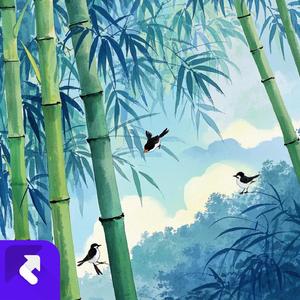 月光闪烁 (现场)