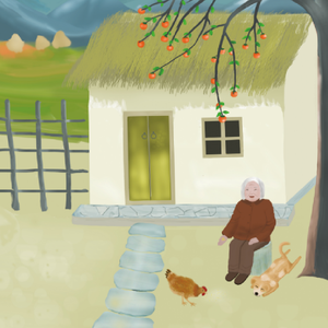 柿树老了,柿子红了