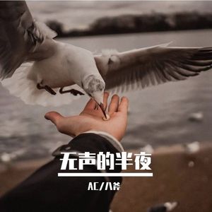 无声的半夜